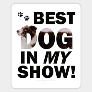 Best dog in my show - brown and white collie in snow oil painting word art Magnet